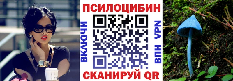 Галлюциногенные грибы Cubensis Орехово-Зуево